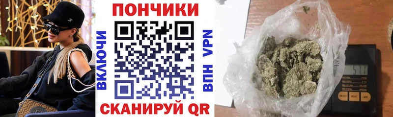 Бошки марихуана THC 21%  Костерёво 